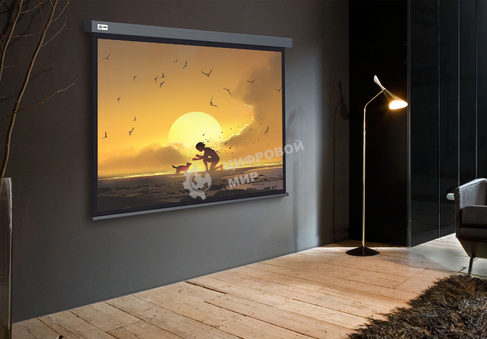 Экран Cactus 124.5x221 см Wallscreen CS-PSW-124X221-SG 16:9 настенно-потолочный рулонный серый