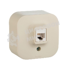 Legrand Legrand 782254 Розетка RJ45 (Слоновая кость)