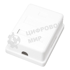 Розетка компьютерная Rexant 1-м ОП RJ45 CAT 5E бел.