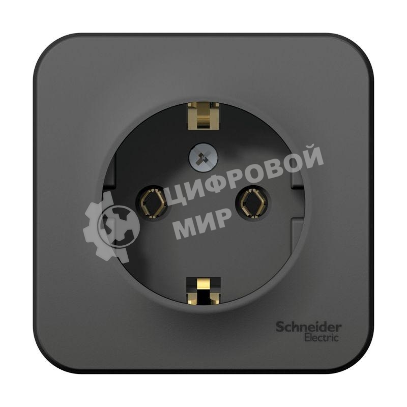 Розетка ОП Blanca 16А 250В без шторок c заземл. изол. пласт. антрацит SchE BLNRA010116