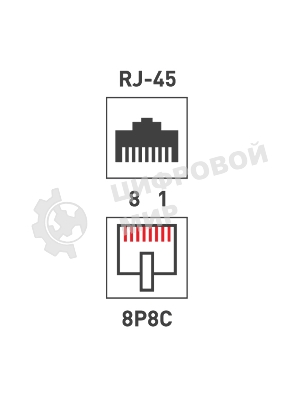 Розетка компьютерная Rexant 1-м ОП RJ45 CAT 5E бел.