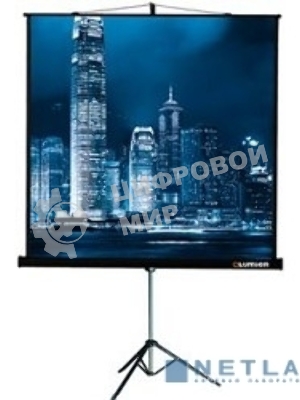 Экран на штативе Lumien Master View 127x127 см Matte White FiberGlass (LMV-100101)