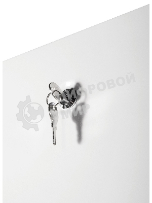 Шкаф телекоммуникационный напольный ЭКОНОМ 24U (600 × 600) дверь стекло, дверь металл