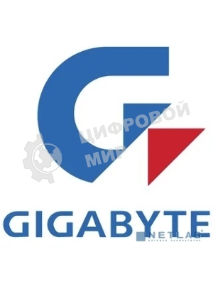 Аксессуар для серверного оборудования ACTIVATION KEY RAID PREM. VROCPREMMOD 951606 INTEL