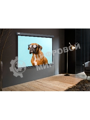 Экран Cactus 149.4x265.7см Wallscreen CS-PSW-149X265-SG 16:9 настенно-потолочный рулонный серый