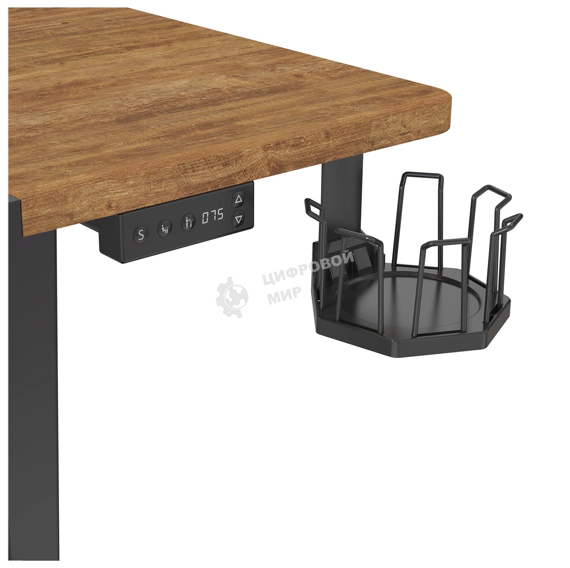 Стол игровой Cactus CS-EDL-BAWD столешница МДФ черный дуб антик, каркас черный