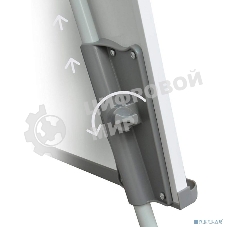 Флипчарт Cactus CS-FCT-W67x105 меламиновая 67x105 см на треноге