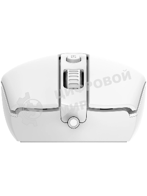 Клавиатура + мышь Acer OCC504 клав:белый мышь:белый USB Multimedia (ZL.ACC11.00N)