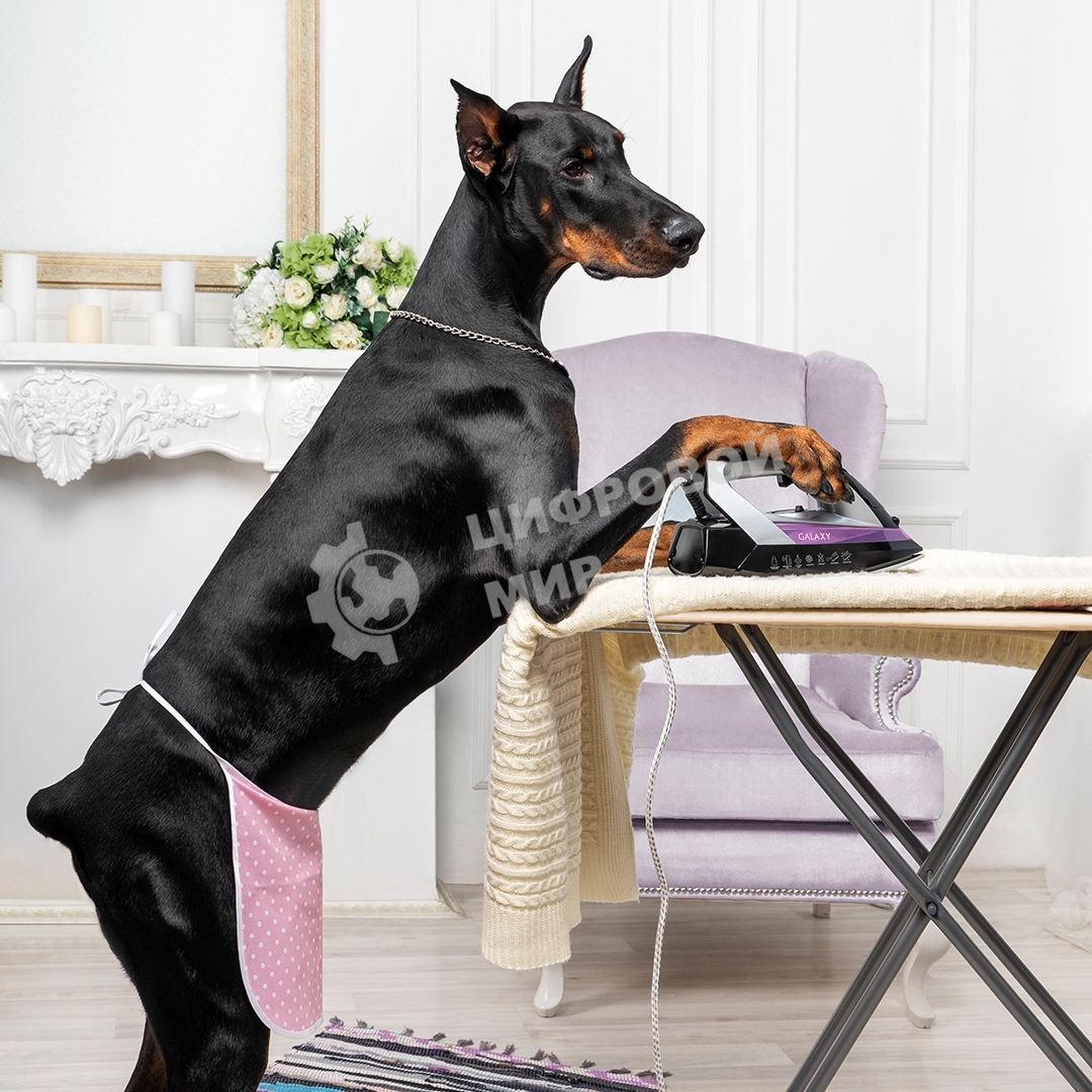 Утюг Galaxy Line GL 6128, фиолетовый с черным, паровой, 2200 Вт, постоянный пар 30 г/мин, паровой удар 140 г/мин, функции: самоочистка, антикапля, антинакипь, функция увлажнения, вертикальное отпаривание, защита от перегрева, индикатор нагрева, керамическ