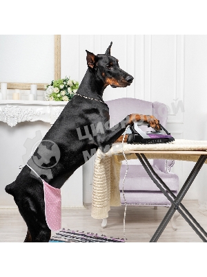 Утюг Galaxy Line GL 6128 фиолетовый/черный, 2200 Вт, 30 г/мин, 140 г/мин, 150 мл