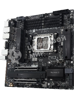 Материнская плата ASUS PRO WS B850M-ACE SE, AM5, AMD B850, 4xDDR5, 4xSATA, 2xM.2, 1xPCIe 5.0 x16, 1xPCIe 4.0 x16, 1xVGA, 1xHDMI, 1xDP, 1x2.5Gb LAN, 1x10Gb LAN, 2xUSB-C 10Gbps, 3xUSB-A 10Gbps, 2xUSB-A 2.0, 7.1, mATX