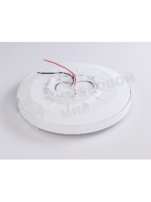 Потолочный светодиодный светильник Ambrella light FZ1247 WH/BK белый/черный IP54 20W 5000K D300*60 (Без ПДУ)