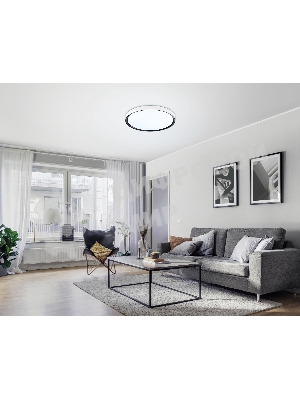 Потолочный светодиодный светильник Ambrella light FZ1247 WH/BK белый/черный IP54 20W 5000K D300*60 (Без ПДУ)