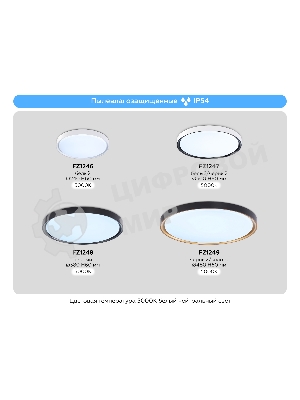 Потолочный светодиодный светильник Ambrella light FZ1247 WH/BK белый/черный IP54 20W 5000K D300*60 (Без ПДУ)