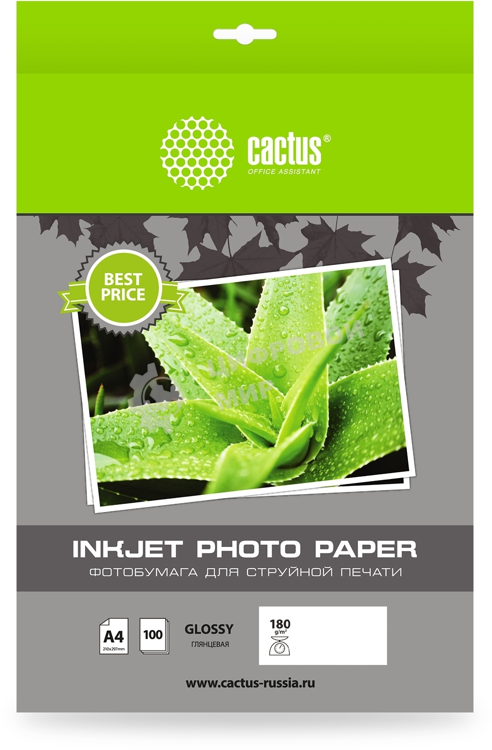 Фотобумага Cactus CS-GA4180100ED A4/180г/м2/100л./белый глянцевое для струйной печати