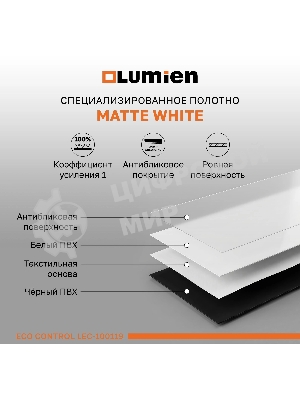 Экран с электроприводом Lumien LEC-100119 Eco Control 157x227 см (раб. область 124х221 см) (100