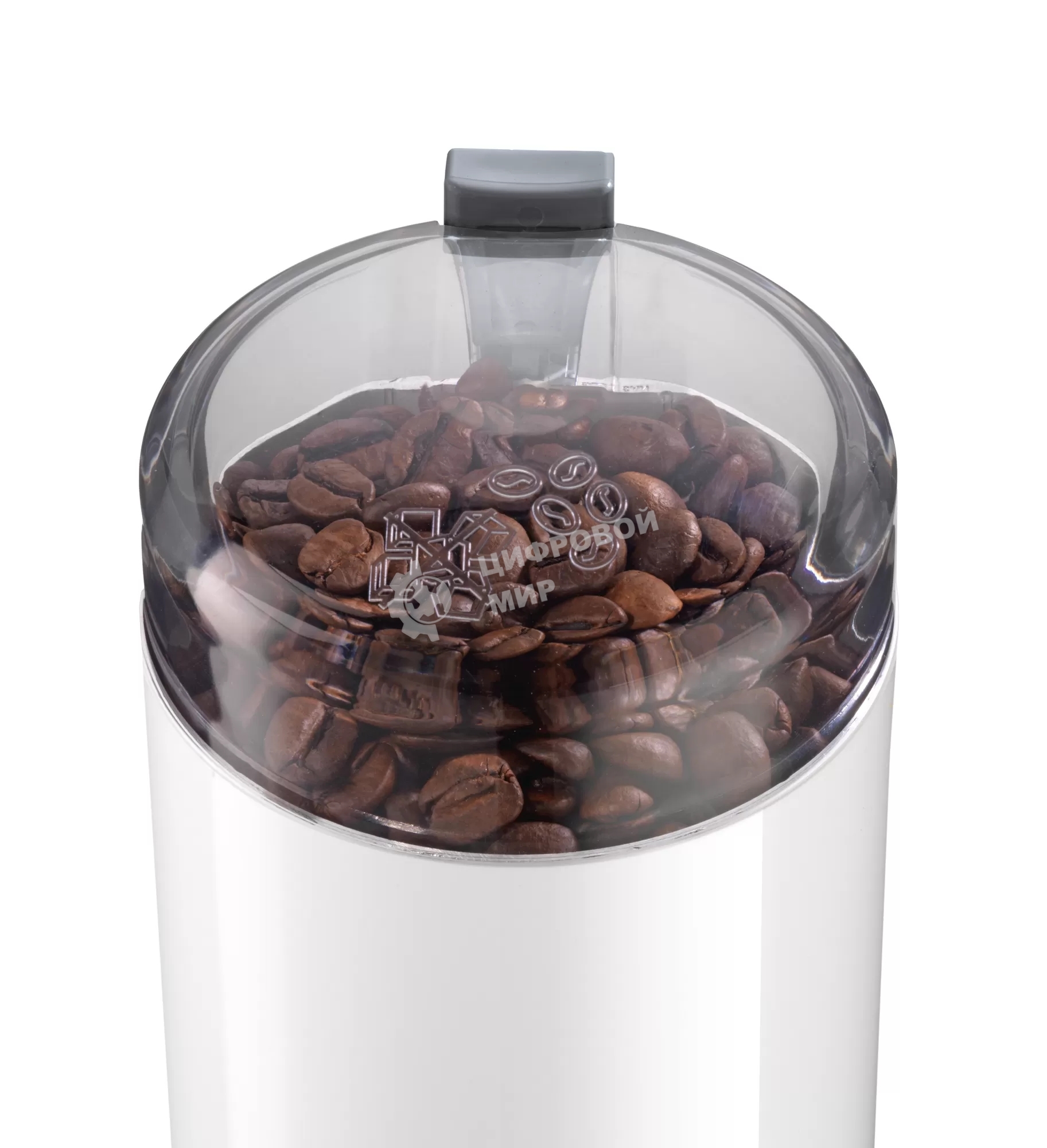 Кофемолка Bosch TSM6A011W 180Вт сист.помол.:ротац.нож вместим.:75гр белый