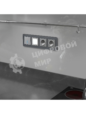 Рамка на 4 поста Elite (графит, стекло) W0042440