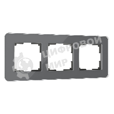 Рамка на 3 поста Elite (графит, стекло) W0032440