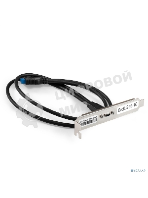 Планка портов в корпус Type-C ExeGate BrctUSB3-1C (USB 3.2 Gen1 20pin (IDC 20pin F) --> USB 3.2 Gen1 Type-Cf, кабель 30 см)
