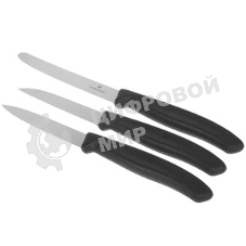 Набор ножей кухонных Victorinox Swiss Classic 6.7114.2C1 для чистки овощей и фруктов компл.:2предм. зеленый европодвес