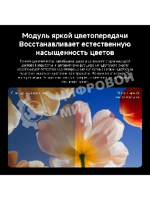 Телевизор Xiaomi TV S Mini LED 55 2026 L55MC-SRU черный 4K UHD 120Hz Smart TV Google TV 2GB/32GB