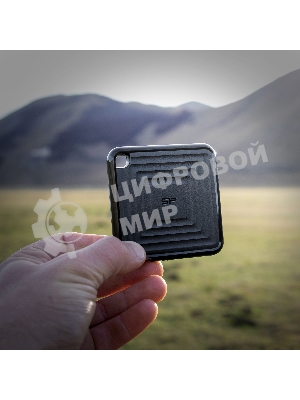 Внешний SSD 2TB Silicon Power PC60, External, USB 3.2 Type-C R/W - 540/500 MB/s черный