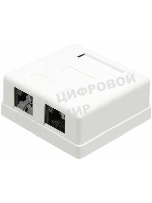 Розетка TWT (TWT-SM2-4545-WH) настенная 2 порта RJ-45 категории 5е. UTP. белая