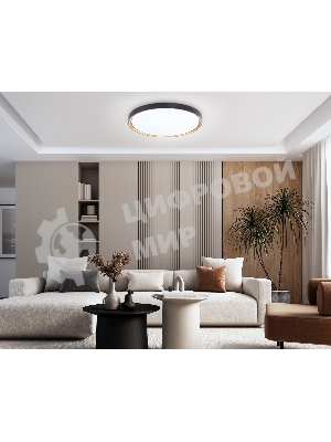 Потолочный светодиодный светильник Ambrella light FZ1249 BK/GD черный/золото IP54 45W 5000K D480*60 (Без ПДУ)