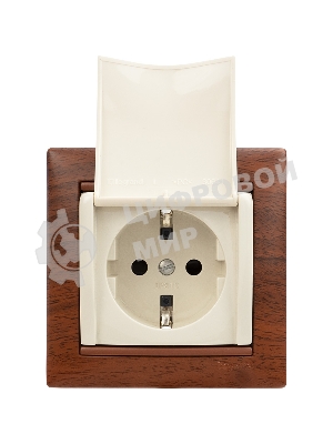 Механизм розетки 1-м СП Valena с защ. крышкой защ. шторки с заземл. сл. кость Legrand 774322