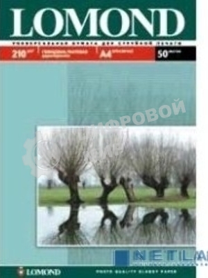 Фотобумага Lomond 0102021 A4/210г/м2/50л./белый глянцевое/матовое для струйной печати