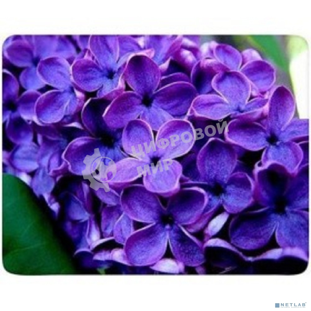 Коврик для мыши Buro BU-M20049 рисунок/сирень