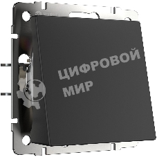 Вывод кабеля (черный матовый) W1150208