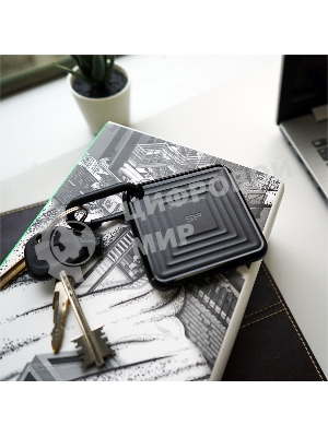 Внешний SSD 2TB Silicon Power PC60, External, USB 3.2 Type-C R/W - 540/500 MB/s черный