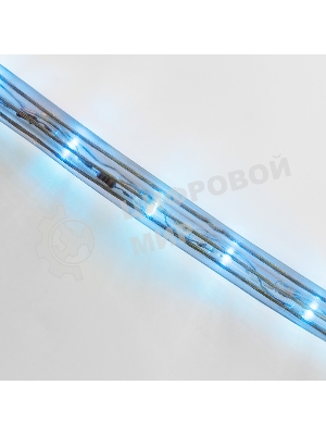 Дюралайт Neon-night LED, постоянное свечение (2W) - синий Эконом 24 LED/м, бухта 100м