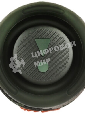 Портативная акустика JBL Charge 5, камуфляж