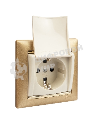 Механизм розетки 1-м СП Valena с защ. крышкой защ. шторки с заземл. сл. кость Legrand 774322