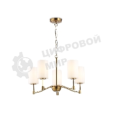 Люстра Ambrella light LH56051/5 BS/FR латунь/белый матовый E14*5 max 40W D590*950