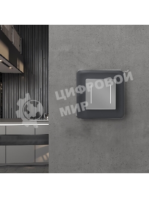 Рамка на 1 пост Elite (графит, стекло) W0012440