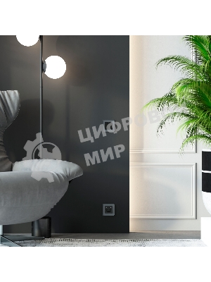 Рамка на 1 пост Elite (графит, стекло) W0012440