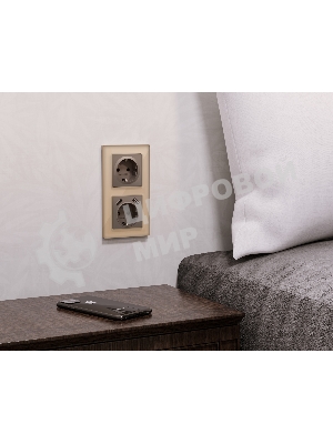 Комплект механизма электрической розетки ALFA Темная бронза матовый 2USB A+A 18W (быстрая зарядка) с/з QUANT (AP6390, VM155) MA639010