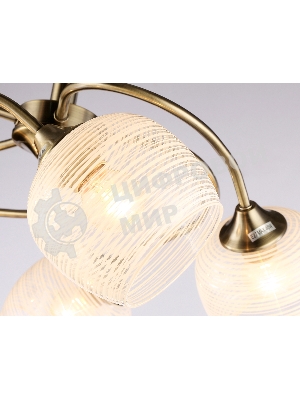 Светильник Ambrella light TR3199/5 SB/CL/FR бронза/прозрачный/белый матовый E27/5 max 40W D600*485
