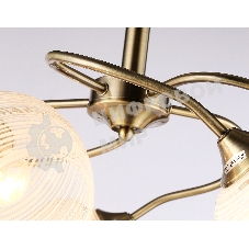 Светильник Ambrella light TR3199/5 SB/CL/FR бронза/прозрачный/белый матовый E27/5 max 40W D600*485