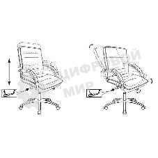 Кресло руководителя Бюрократ T-9927SL-LOW/BLACK черный, кожа, низкая спинка, крестовина хром