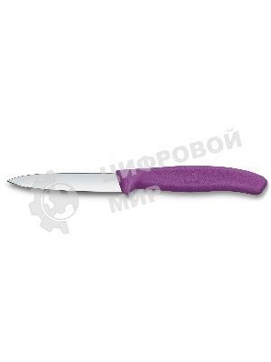 Нож кухонный Victorinox Swiss Classic 6.7605.C1 для чистки овощей и фруктов лезв. 80 мм прямая заточка пурпурный