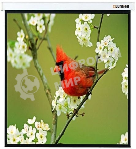 Экраны LUMIEN LUMIEN Master Picture LMP-100129 220*220 1:1, черная кайма по периметру