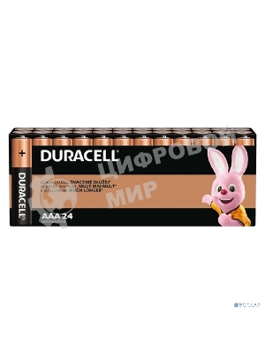 Батарейки DURACELL LR03-24BL BASIC AAA (MN2400) (24 шт. в уп-ке)