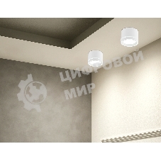 Накладной точечный светильник TU5530 WH белый IP20 GX70 D120*87