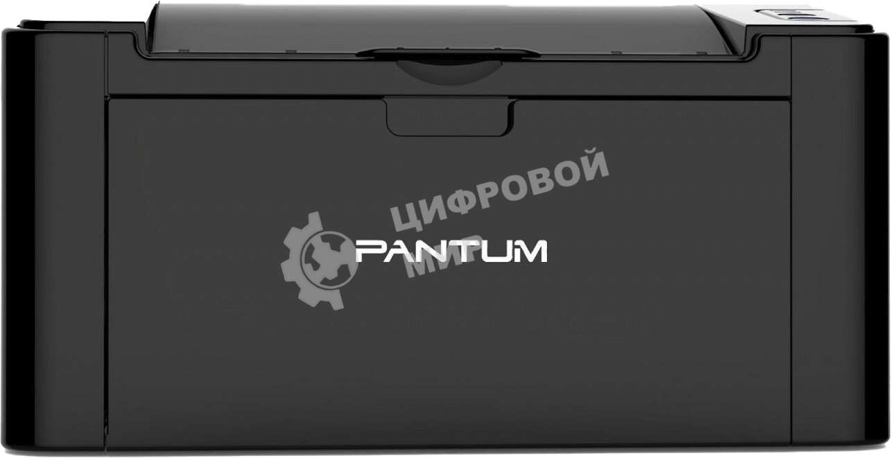 Принтер лазерный Pantum P2207, A4, ч/б, печ. до 20 стр/мин, 1200x1200 dpi, USB
