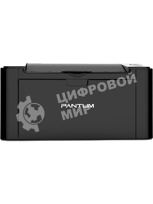 Принтер лазерный Pantum P2207, A4, ч/б, печ. до 20 стр/мин, 1200x1200 dpi, USB